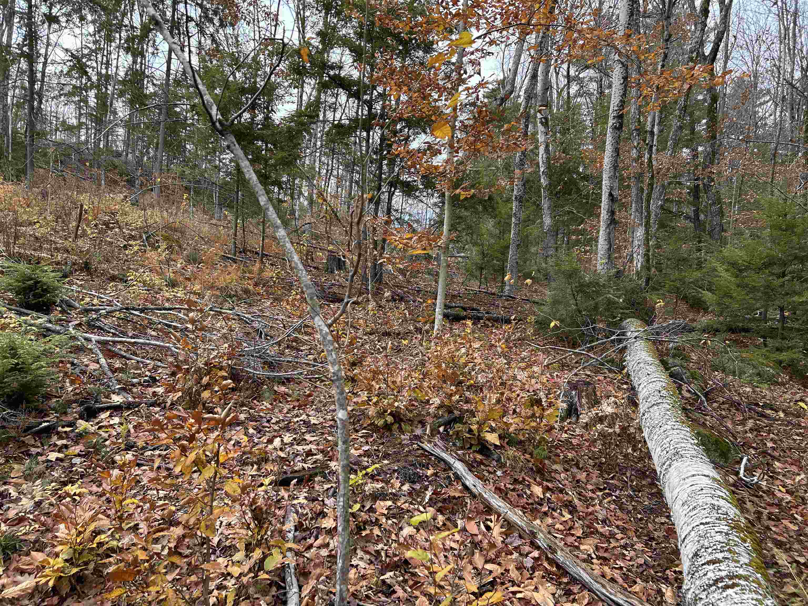 0 Pound Road North North Sutton, NH 03260 - Photo 34 of 41