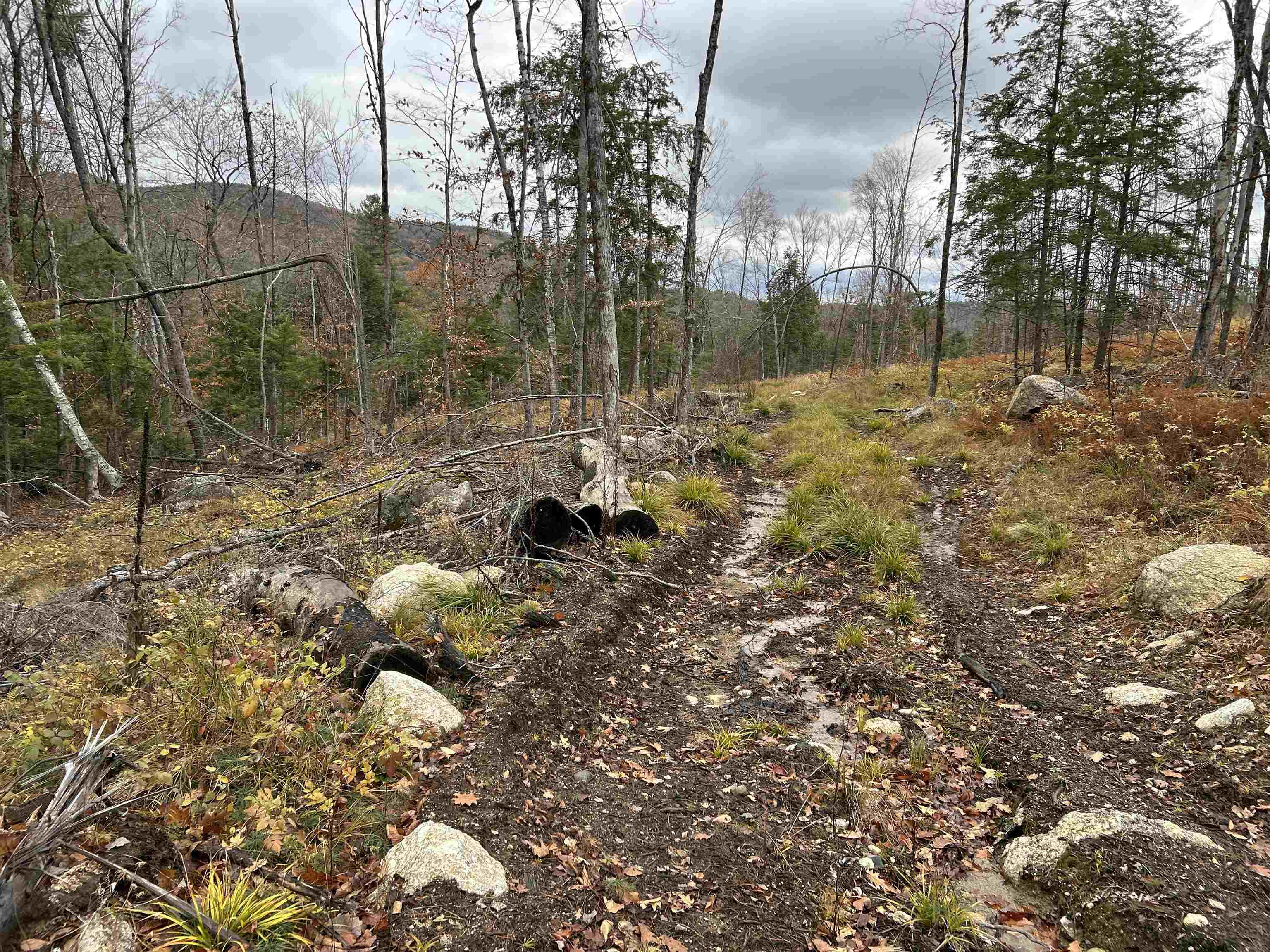 0 Pound Road North North Sutton, NH 03260 - Photo 35 of 41