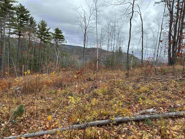 $329,000 | 0 Pound Road North, North Sutton, NH 03260