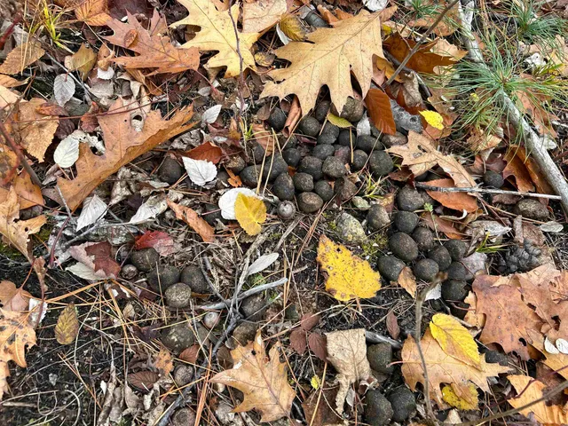 $329,000 | 0 Pound Road North, North Sutton, NH 03260