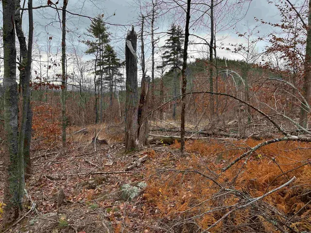 $329,000 | 0 Pound Road North, North Sutton, NH 03260