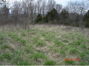 570 Newt Good Road, Unit 2 & 3 Limestone, TN 37681 - Photo 3 of 6 Top of property