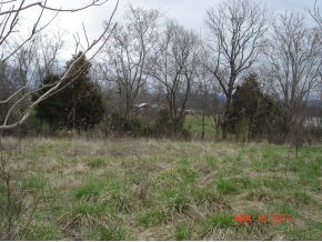 570 Newt Good Road, Unit 2 & 3 Limestone, TN 37681 - Photo 4 of 6 View from back of property