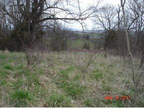 570 Newt Good Road, Unit 2 & 3 Limestone, TN 37681 - Photo 6 of 6 Overlooking home site