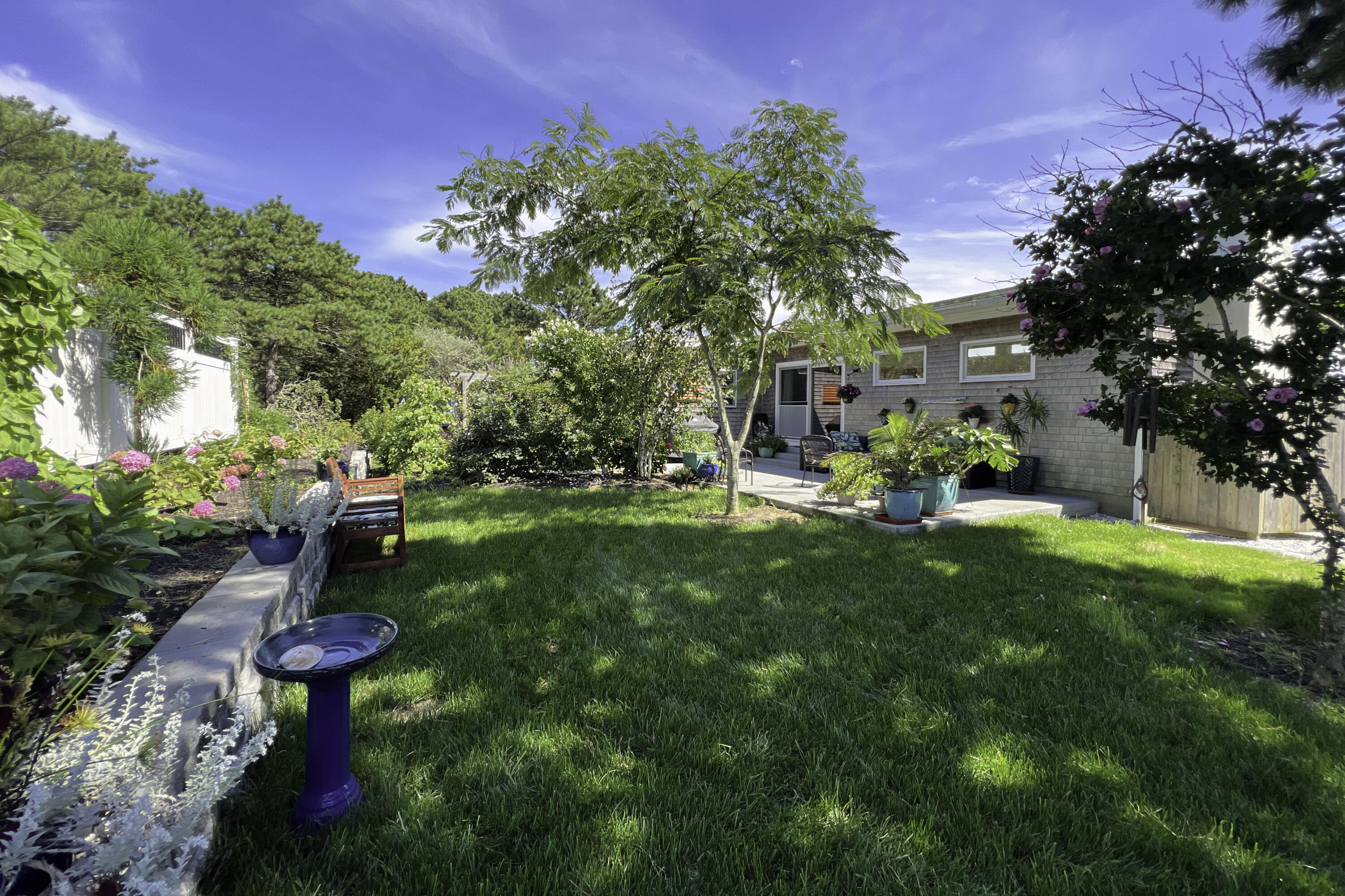 60 5th Avenue Wellfleet, MA 02667 - Photo 26 of 42 a view of a park with large trees