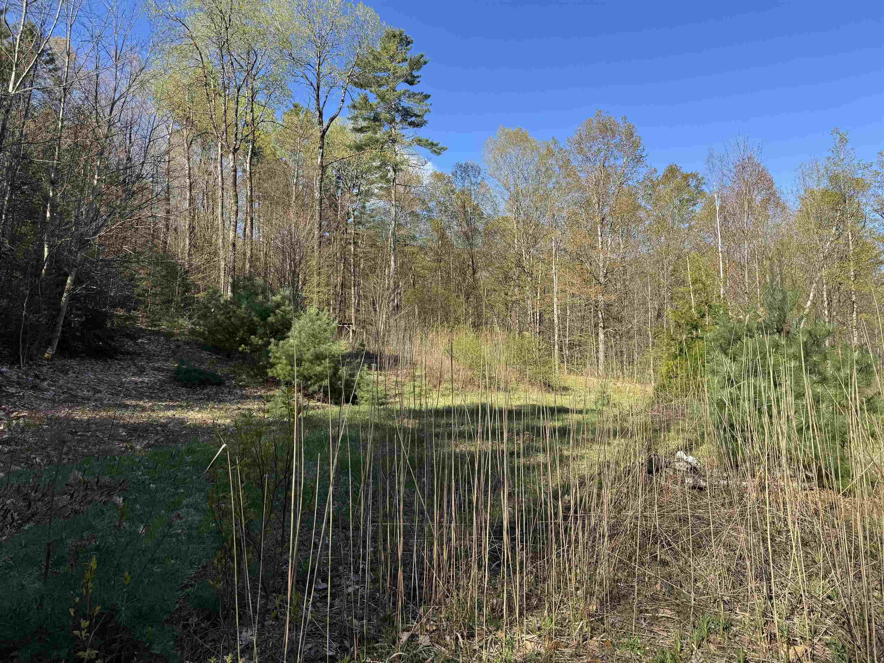 807 Kidder Hood Road Bradford, VT 05033 - Photo 13 of 21