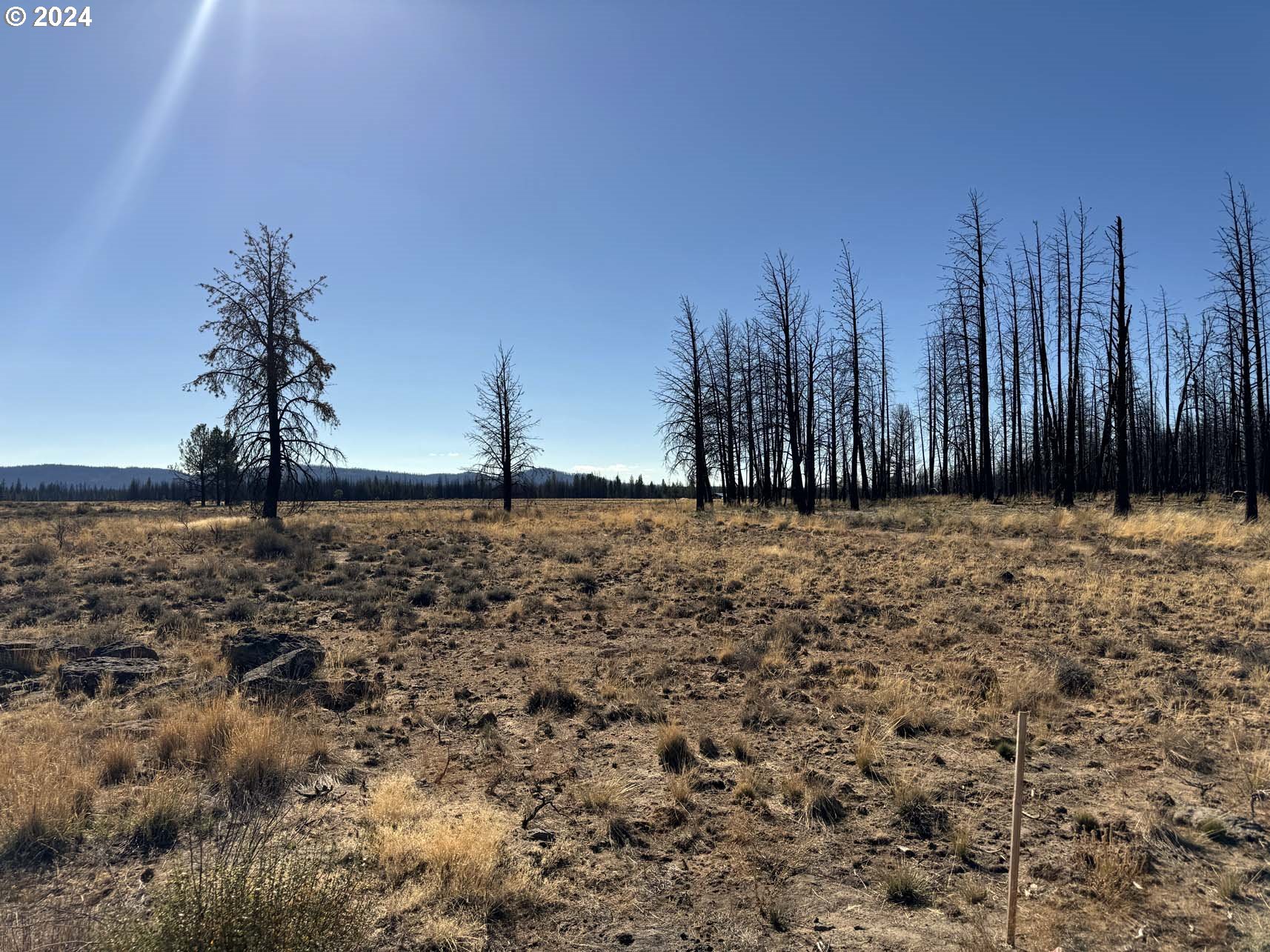 Mahogany Lane, Unit 200 Beatty, OR 97621 - Photo 4 of 29