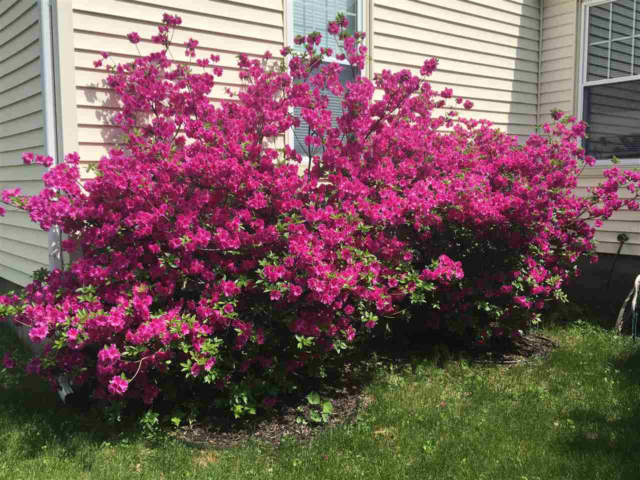 142 Island Pond Road Manchester, NH 03109 - Photo 29 of 34 Gallery Image 29