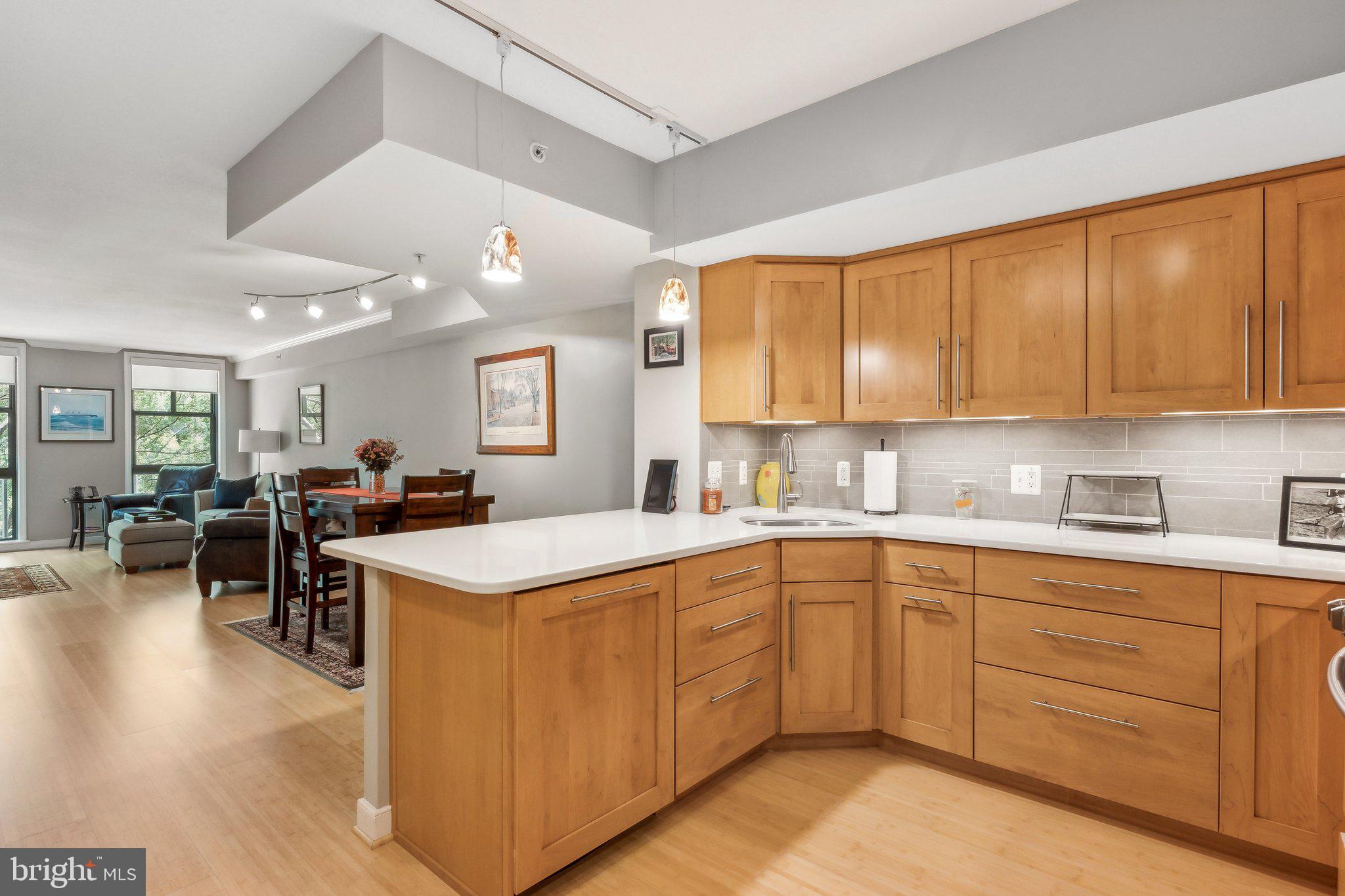 616 E Street Northwest, Unit 213 Washington, DC 20004 - Photo 6 of 80 Gourmet Kitchen with Storage opens to Dining Area