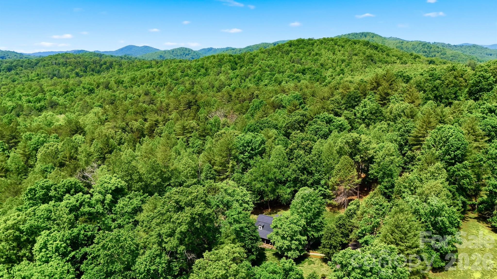 3497 Blue Creek Road Lenoir, NC 28645 - Photo 42 of 44