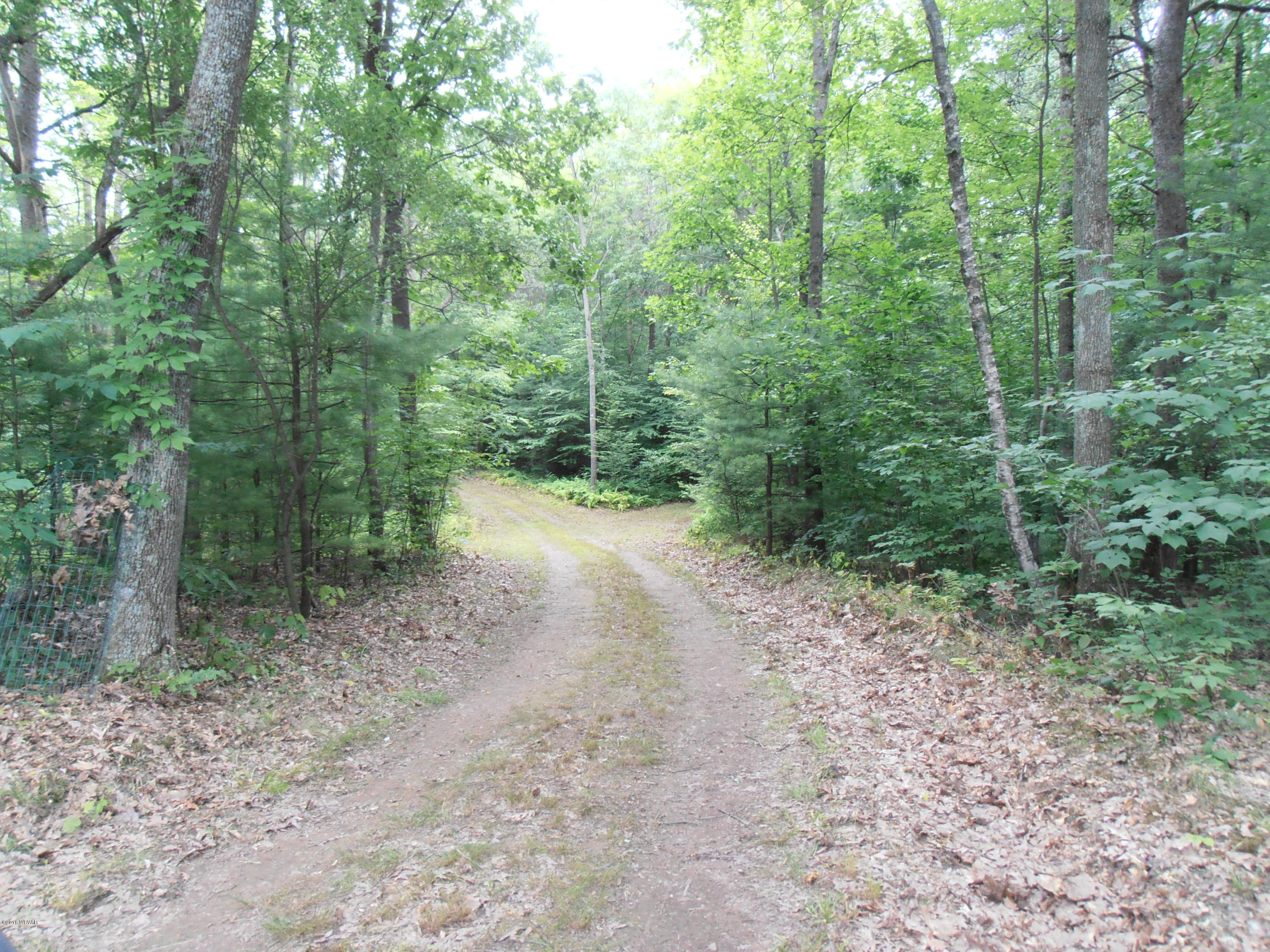 504 Furnace Run Road Jersey Shore, PA 17740 - Photo 6 of 36 P7200019