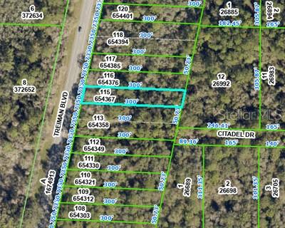 8388 Treiman Boulevard Webster, FL 33597 - Photo 2 of 3