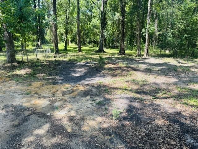 11898 Southwest 36 Way Webster, FL 33597 - Photo 38 of 40