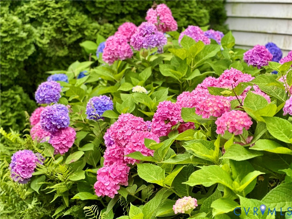 7600 Alvarado Road Henrico, VA 23229 - Photo 33 of 41