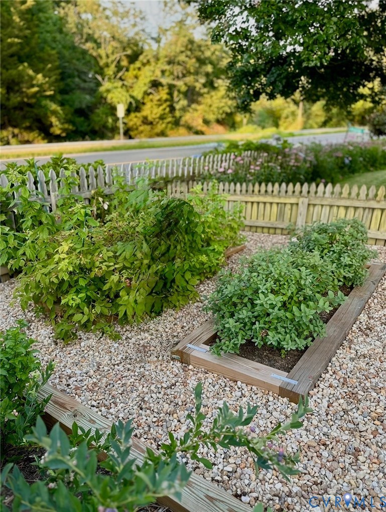 7600 Alvarado Road Henrico, VA 23229 - Photo 38 of 41 Blueberries and blackberries plants
