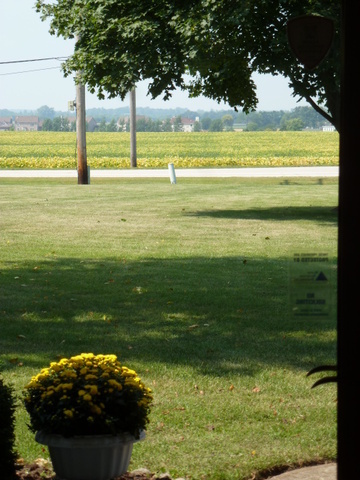 3-s033 Deerpath Road Batavia, IL 60510 - Photo 23 of 25