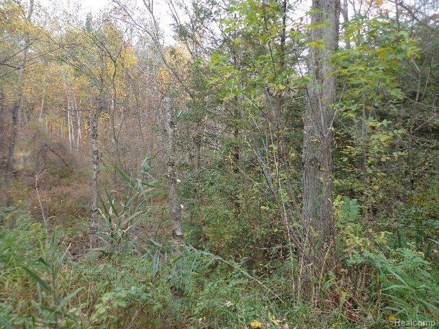 0 Rynn Road North Street, MI 48049 - Photo 11 of 11