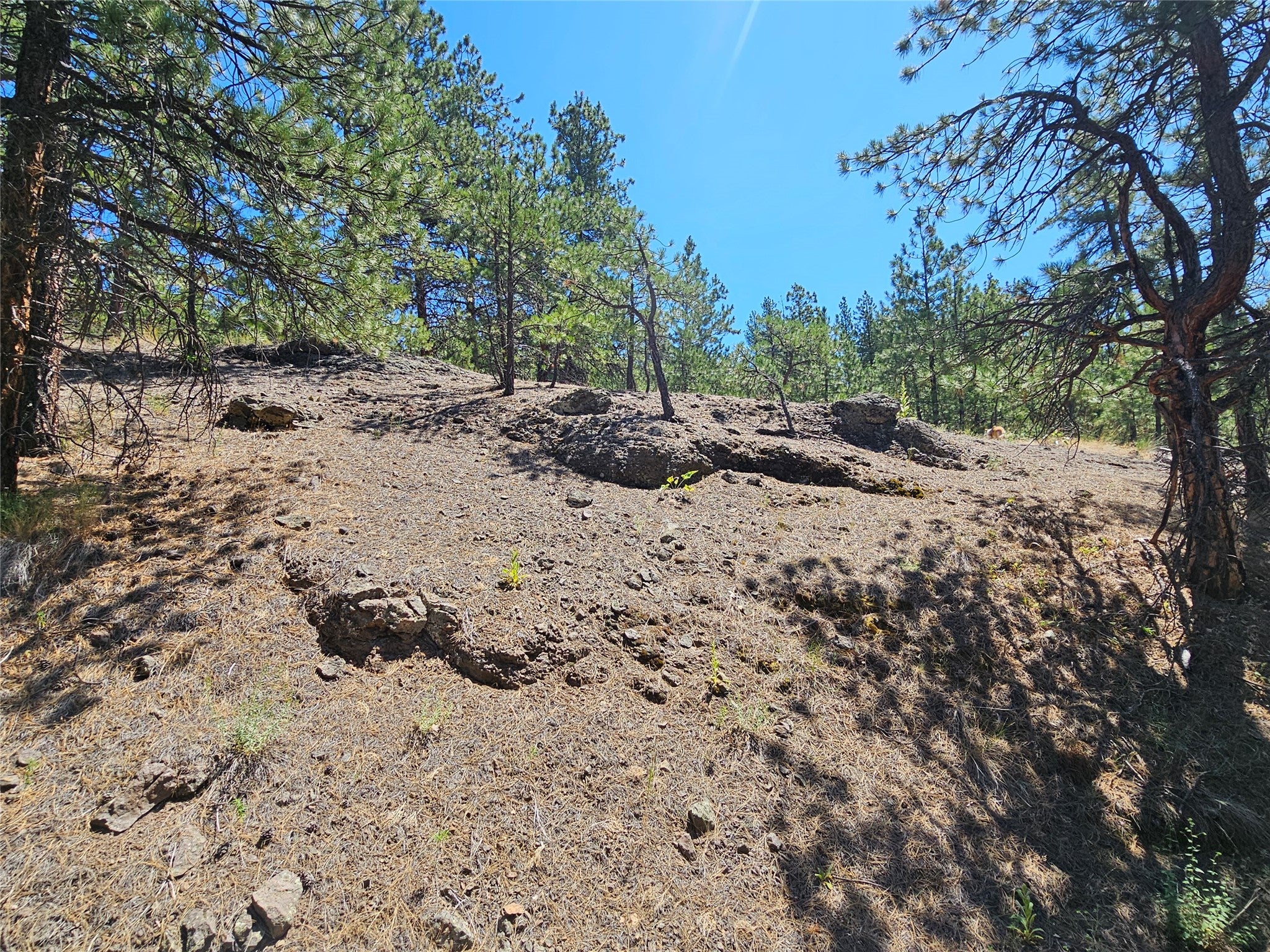 Nhn Upper Sawmill Creek Road Cascade, MT 59421 - Photo 20 of 28 Gallery Image 20