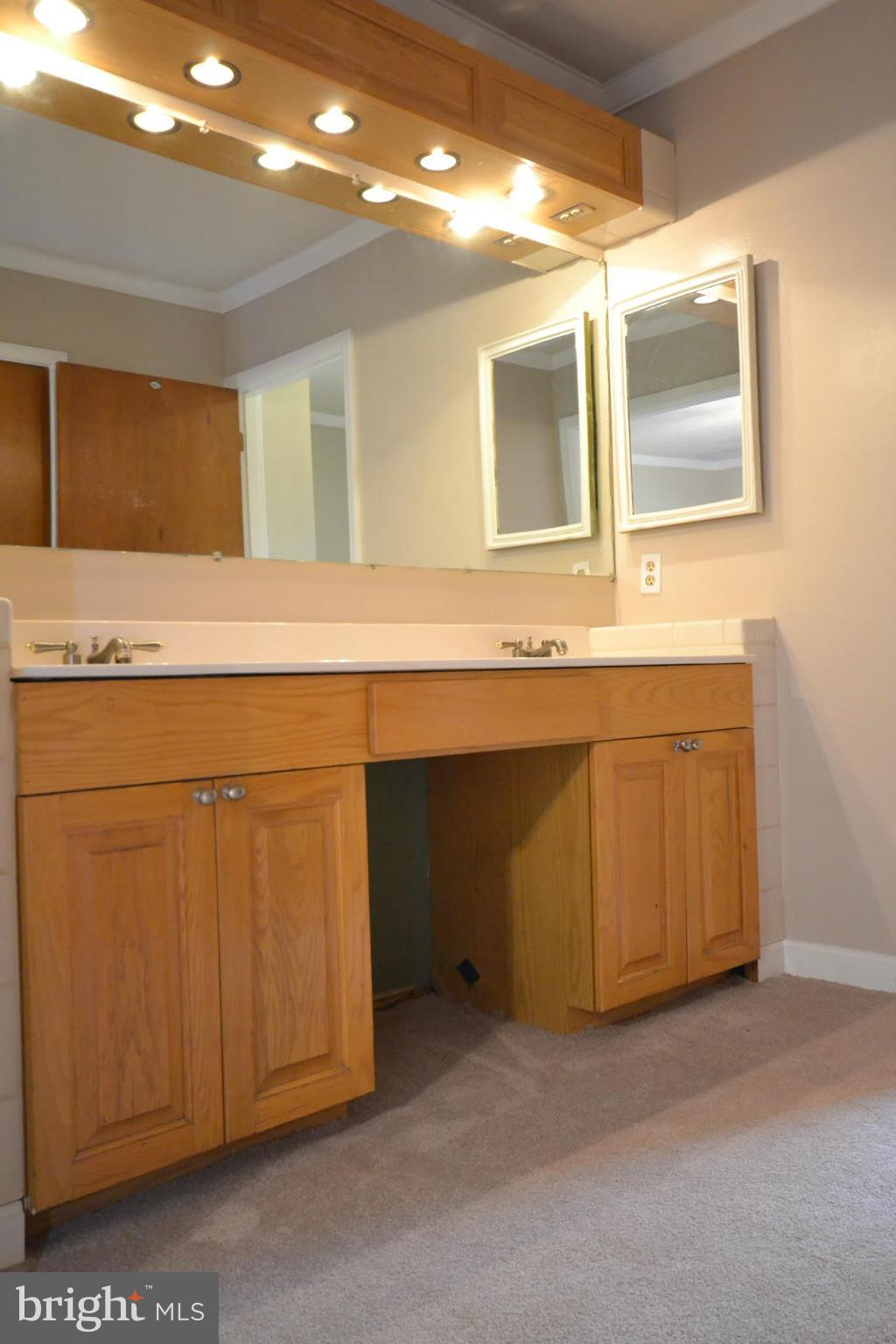 15339 Waterloo Road Amissville, VA 20106 - Photo 11 of 21 Bath (Master)