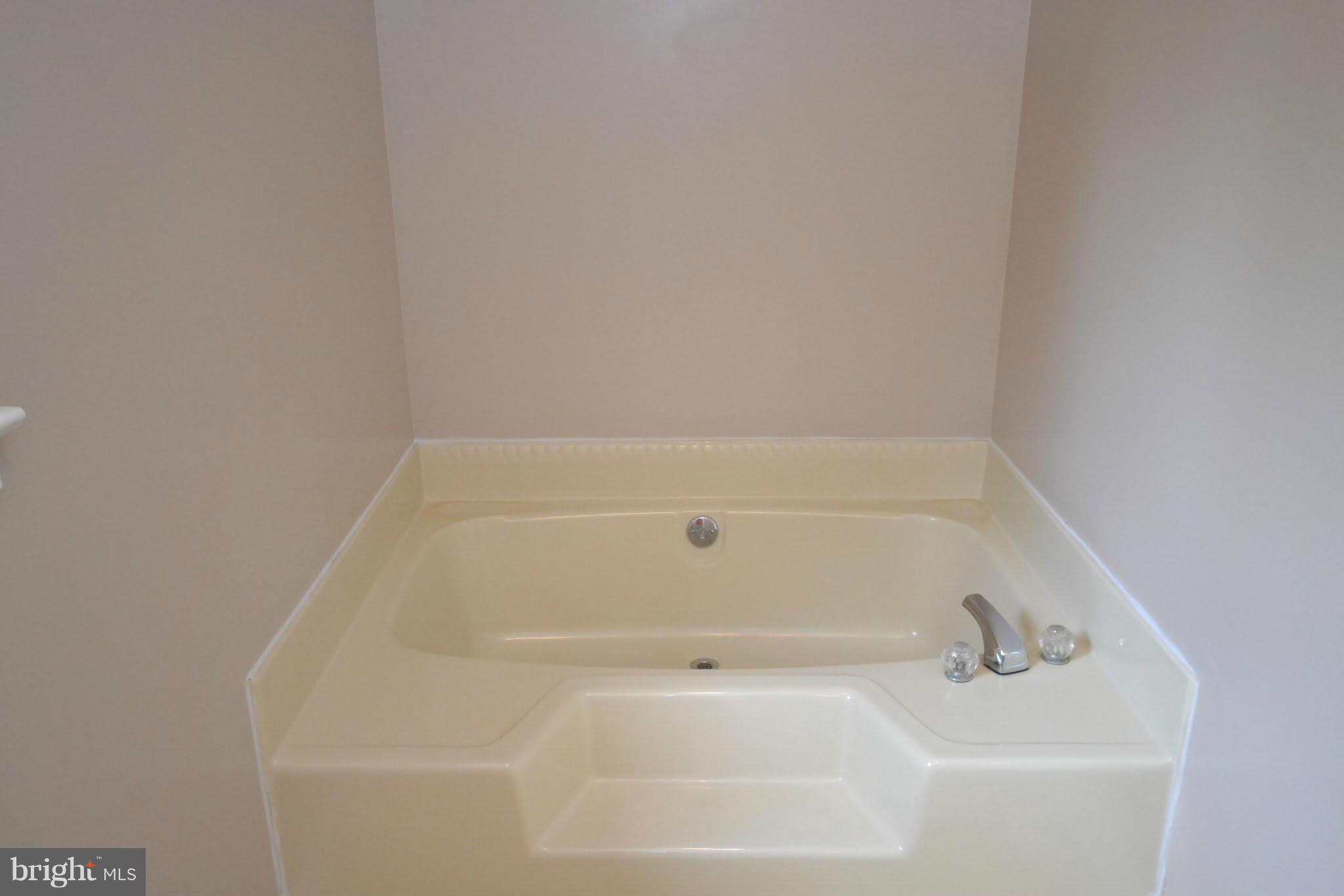 15339 Waterloo Road Amissville, VA 20106 - Photo 12 of 21 Bath (Master)
