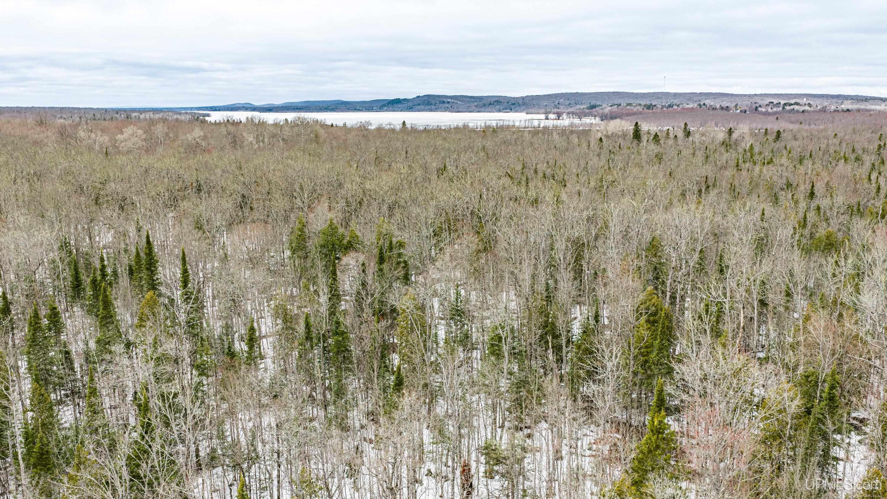 Tbd38 East Shore Road Bergland, MI 49910 - Photo 8 of 39