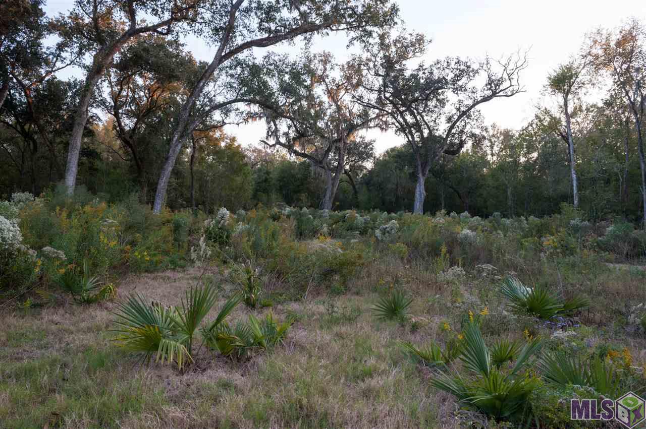 1664 Elm Row Lane Baton Rouge, LA 70810 - Photo 2 of 3 Gallery Image 2