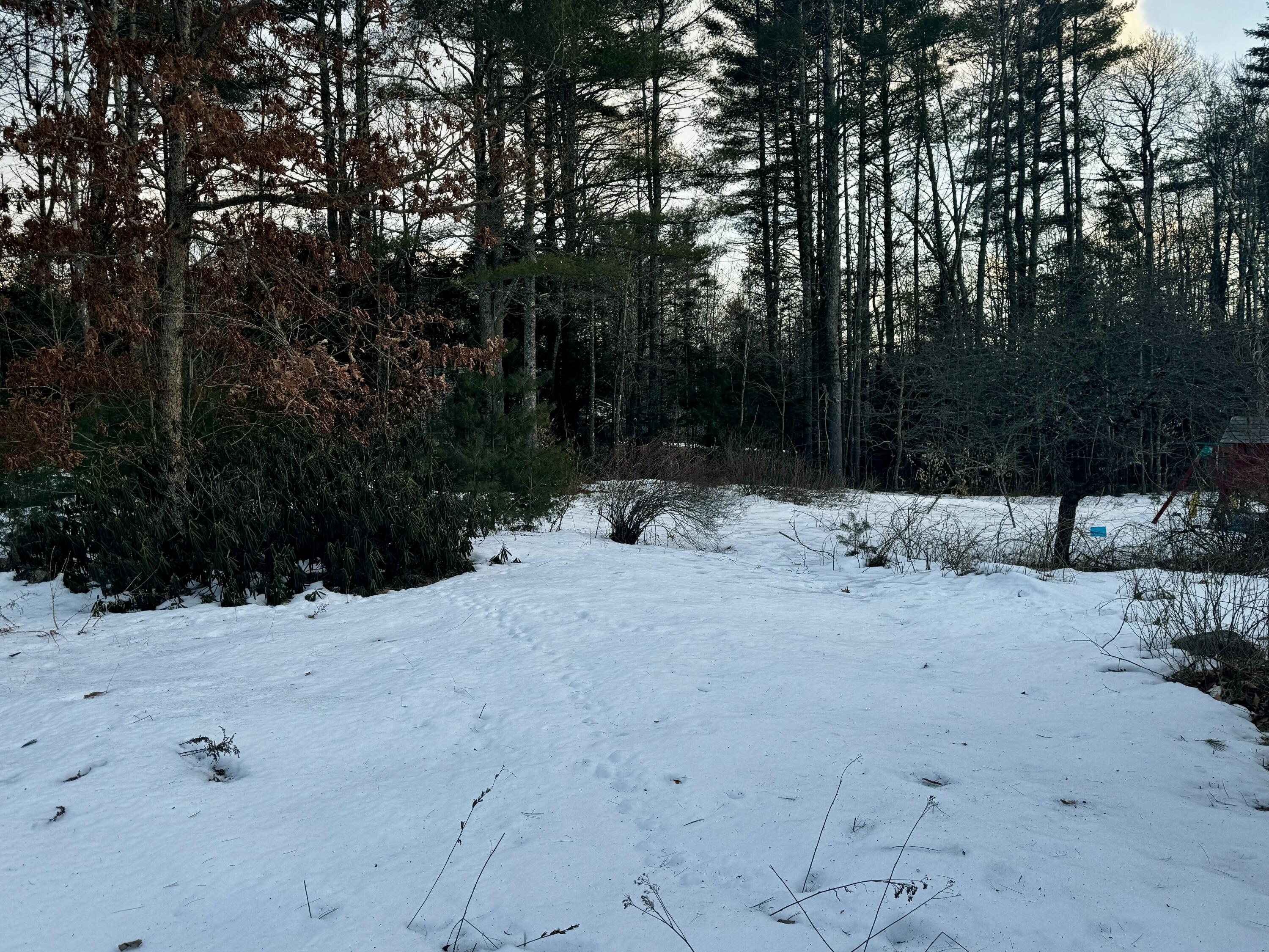 466 Lewis Road Harrison, ME 04040 - Photo 19 of 20 IMG_0284