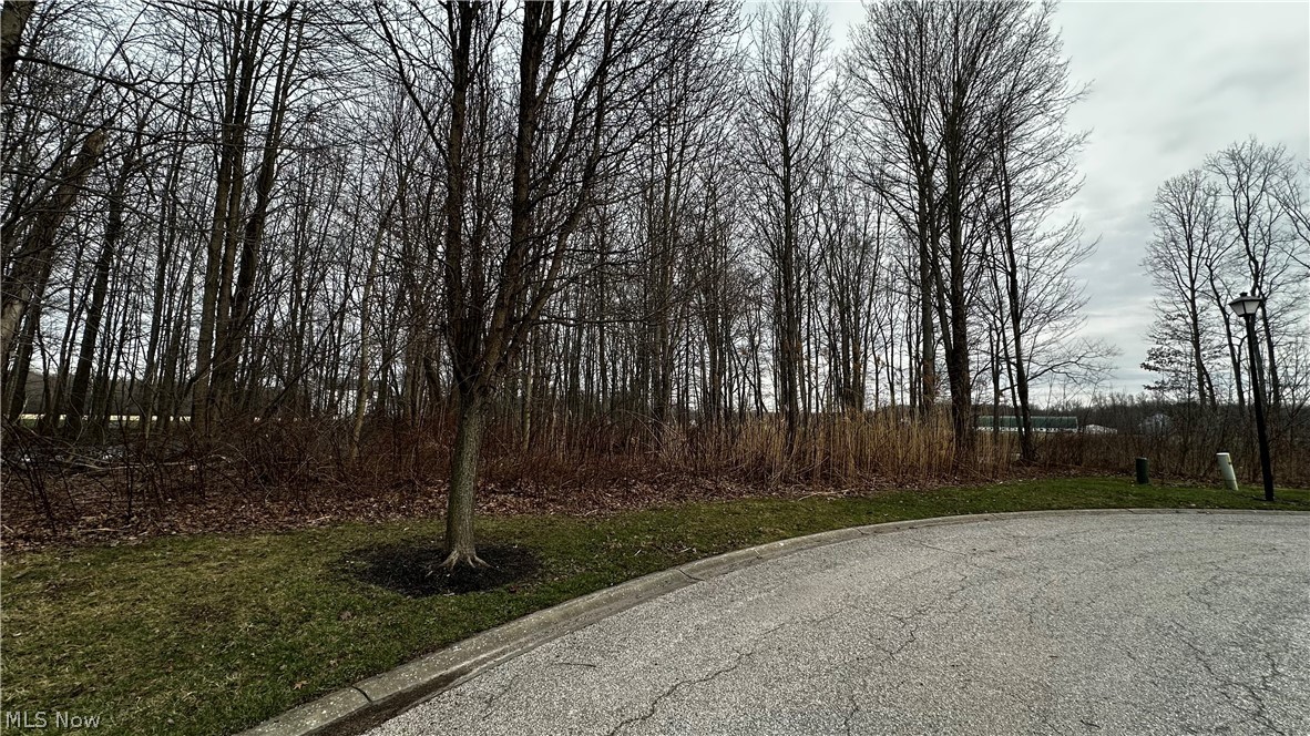 Vl Rutledge Avenue Ashtabula, OH 44004 - Photo 2 of 3 wooded parcel from the road
