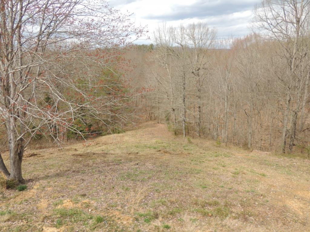 135 Forest Road Rogersville, TN 37857 - Photo 15 of 17 Photo 15