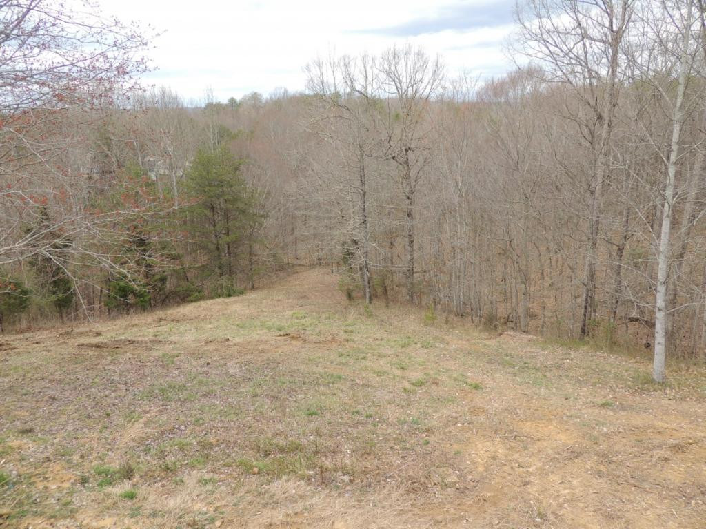 135 Forest Road Rogersville, TN 37857 - Photo 16 of 17 Photo 16