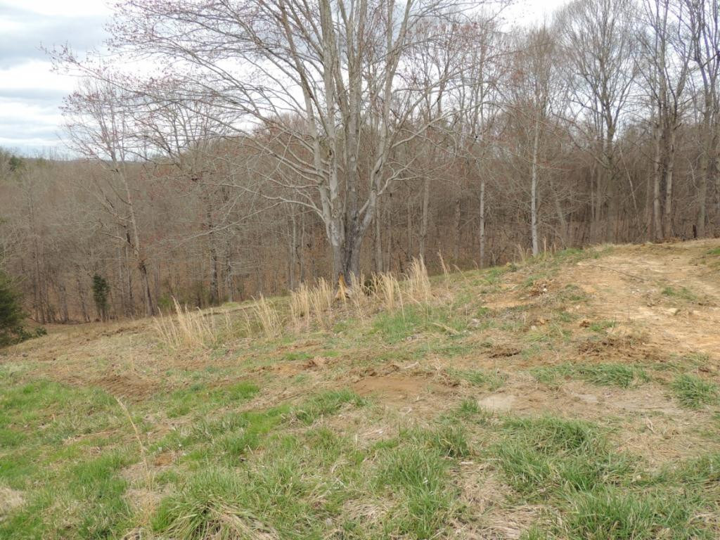 135 Forest Road Rogersville, TN 37857 - Photo 17 of 17 Photo 17