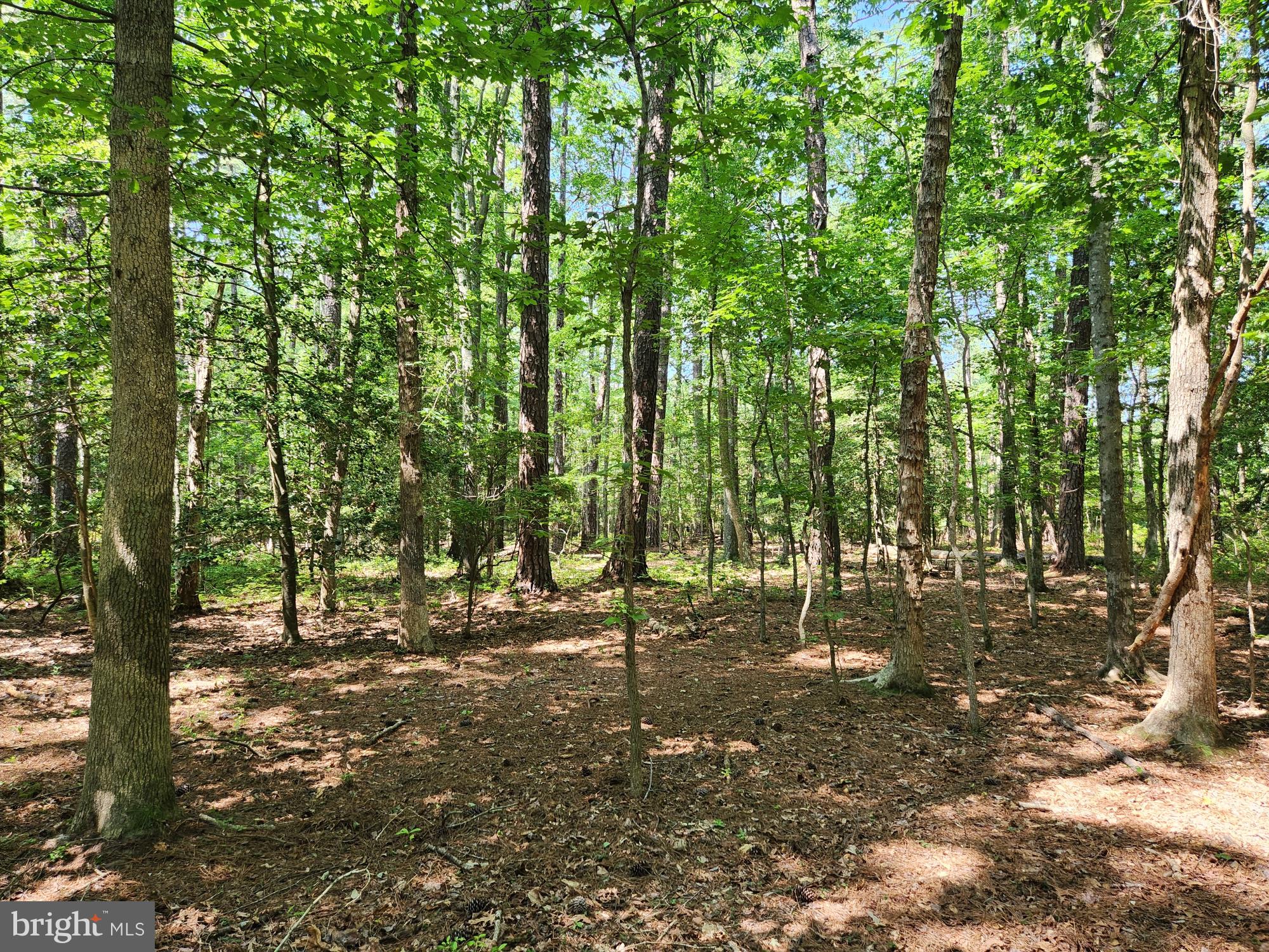 Point Lookout Road Scotland, MD 20687 - Photo 16 of 19 Camp