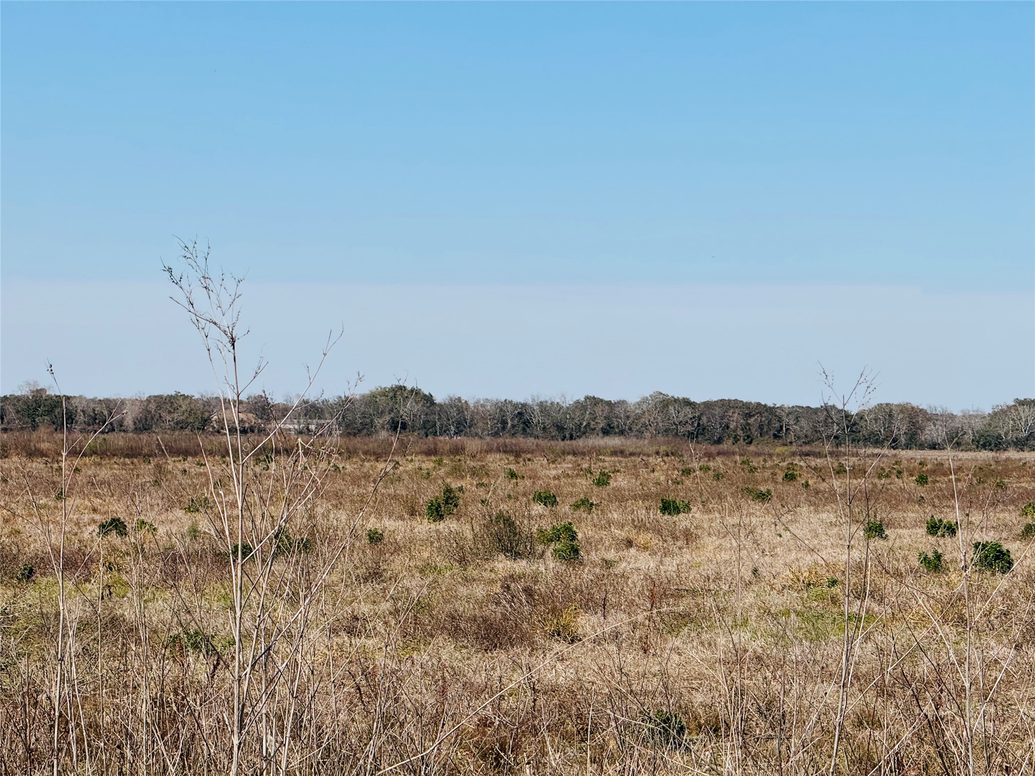 Tbd Beard Road Needville, TX 77461 - Photo 7 of 10 a view of mountain and trees