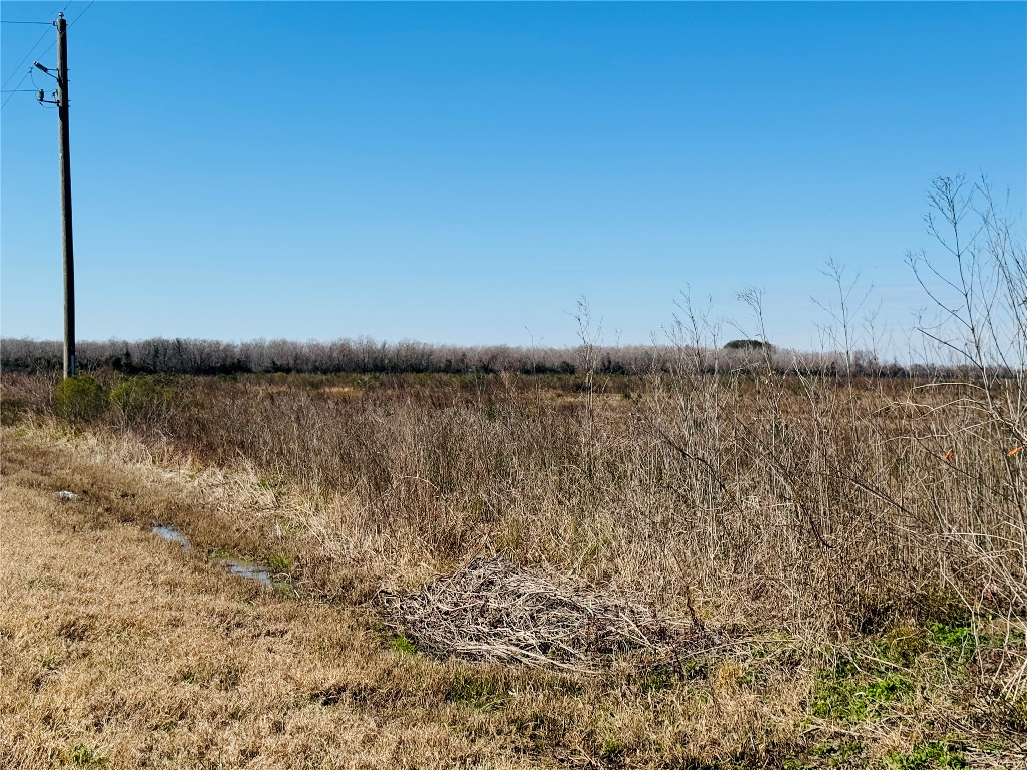 Tbd Beard Road Needville, TX 77461 - Photo 9 of 10 a view of a lake view