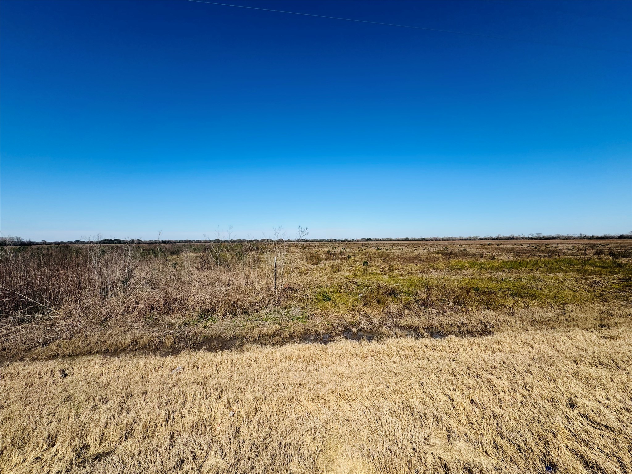 Tbd Beard Road Needville, TX 77461 - Photo 10 of 10 a view of wooden floor and yard