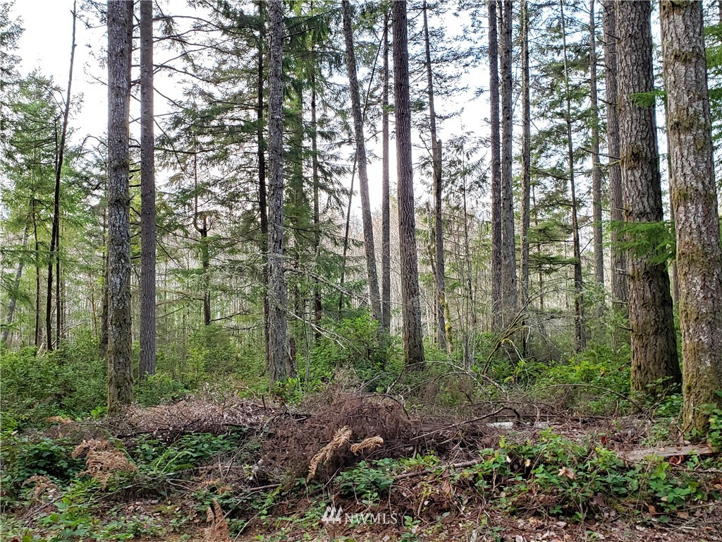 12 J M Dickenson Road Southwest Port Orchard, WA 98367 - Photo 12 of 18 Gallery Image 12