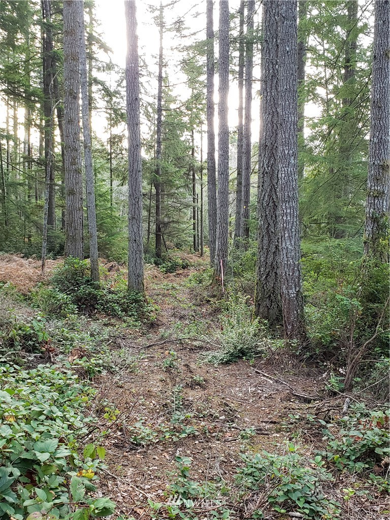 12 J M Dickenson Road Southwest Port Orchard, WA 98367 - Photo 13 of 18 Gallery Image 13