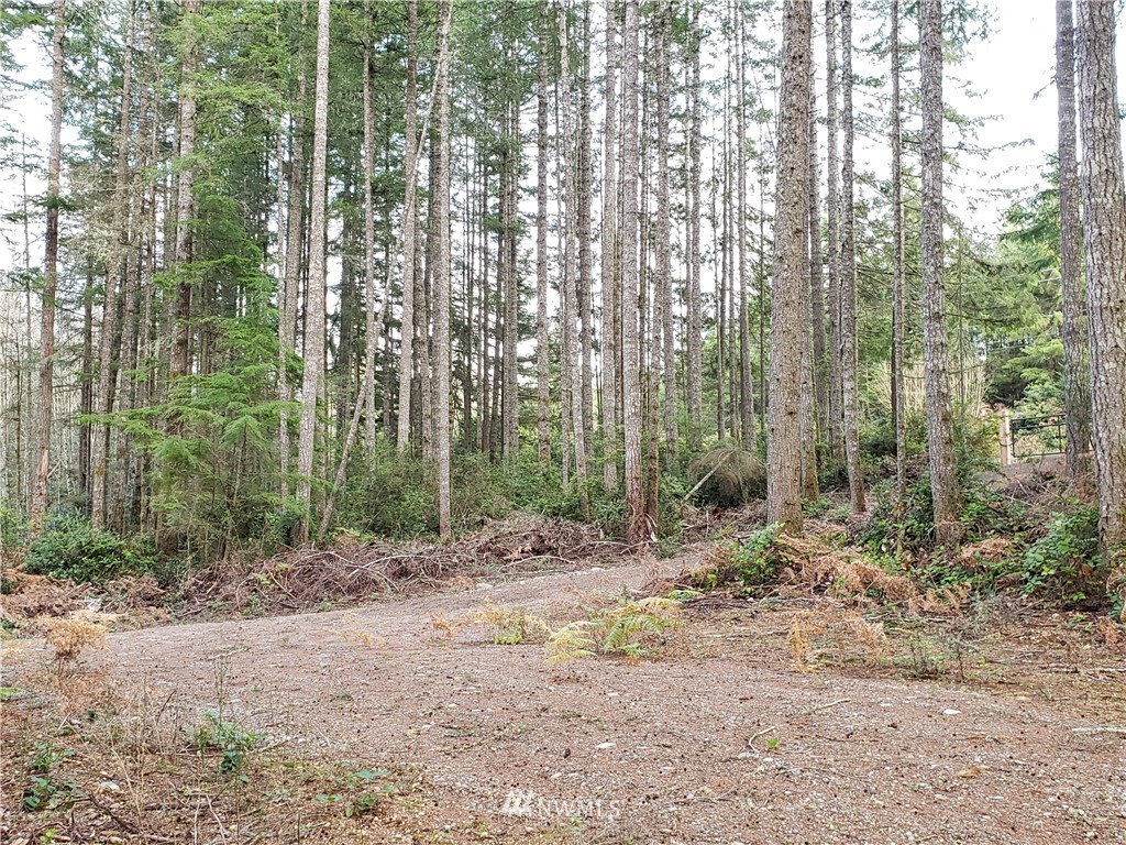 12 J M Dickenson Road Southwest Port Orchard, WA 98367 - Photo 14 of 18 Gallery Image 14