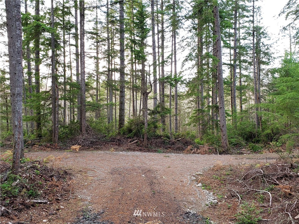 12 J M Dickenson Road Southwest Port Orchard, WA 98367 - Photo 4 of 18 Gallery Image 4