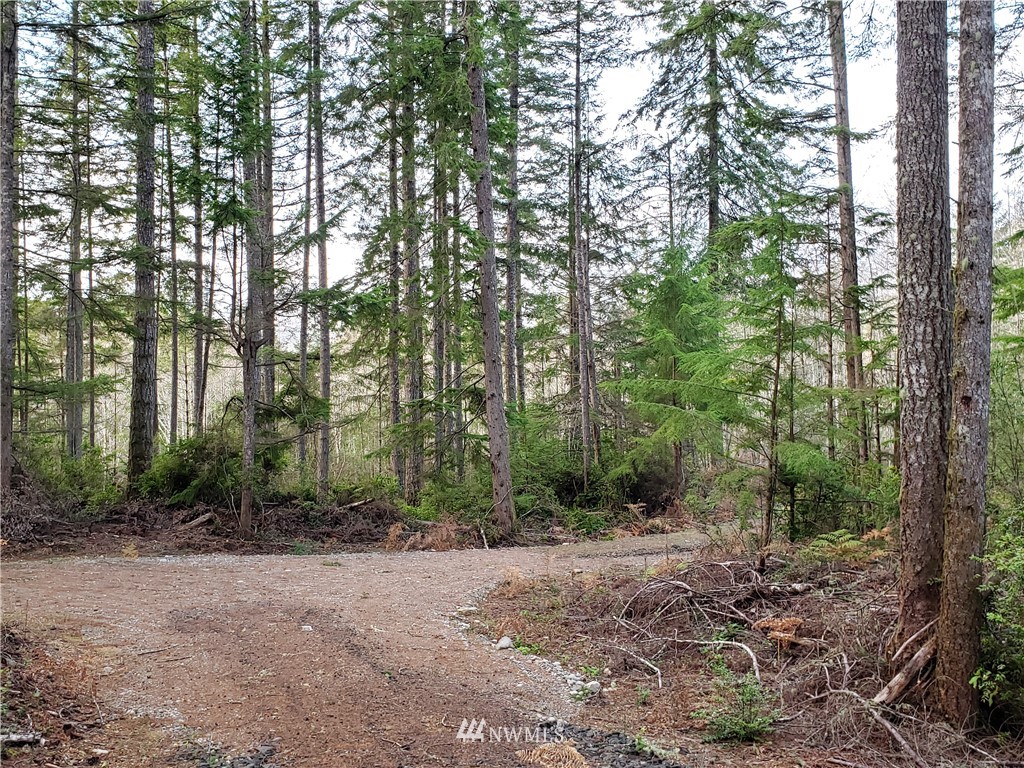 12 J M Dickenson Road Southwest Port Orchard, WA 98367 - Photo 5 of 18 Gallery Image 5