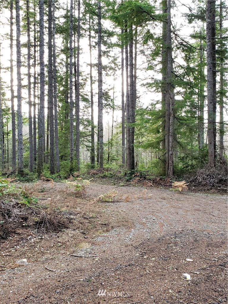 12 J M Dickenson Road Southwest Port Orchard, WA 98367 - Photo 6 of 18 Gallery Image 6