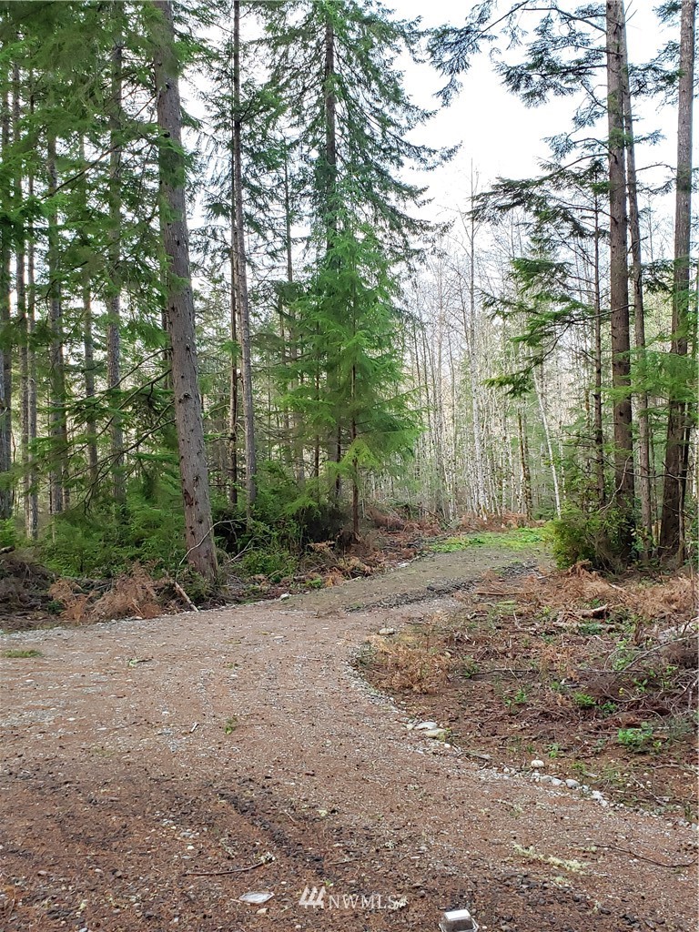 12 J M Dickenson Road Southwest Port Orchard, WA 98367 - Photo 7 of 18 Gallery Image 7