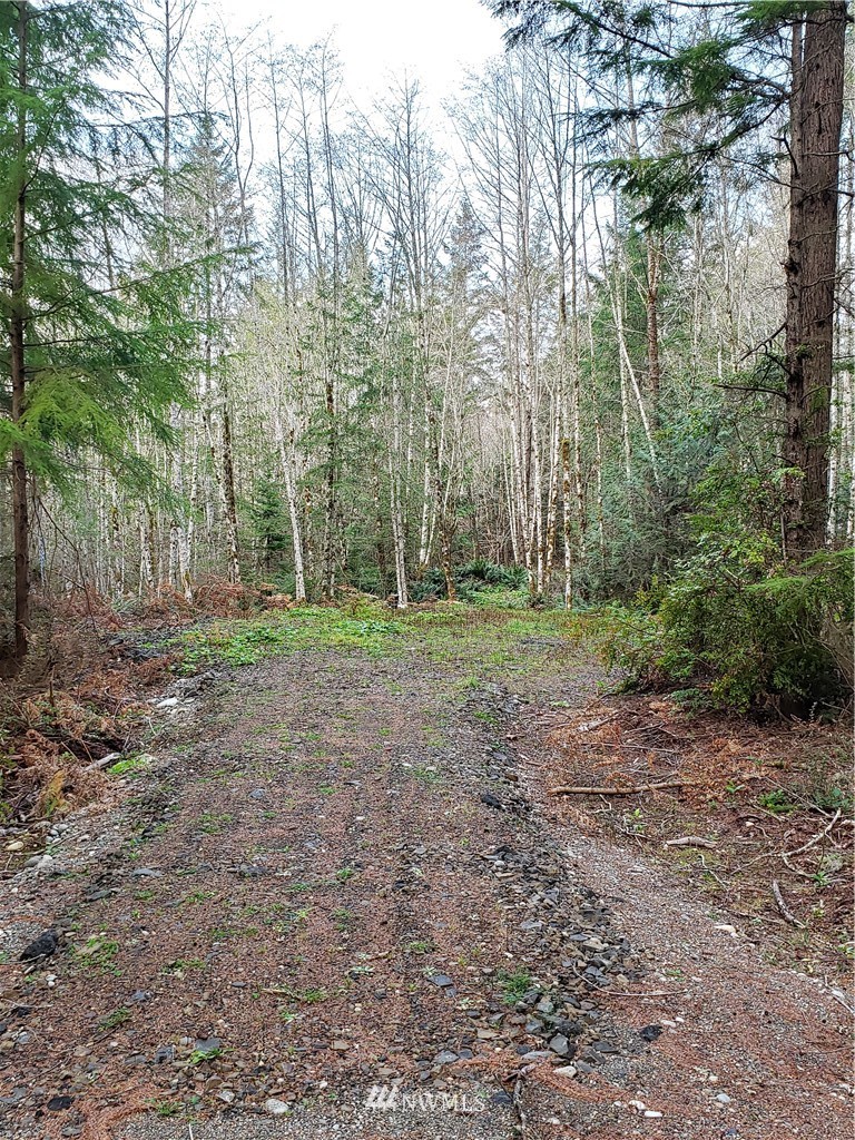 12 J M Dickenson Road Southwest Port Orchard, WA 98367 - Photo 9 of 18 Gallery Image 9