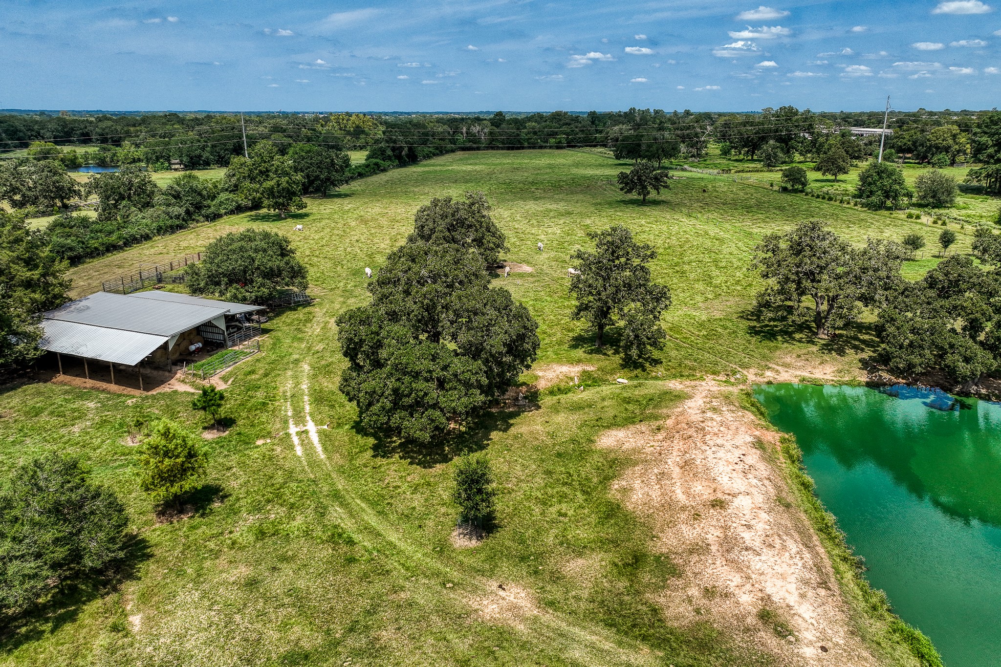 38134 Canty Road Hempstead, TX 77445 - Photo 28 of 48