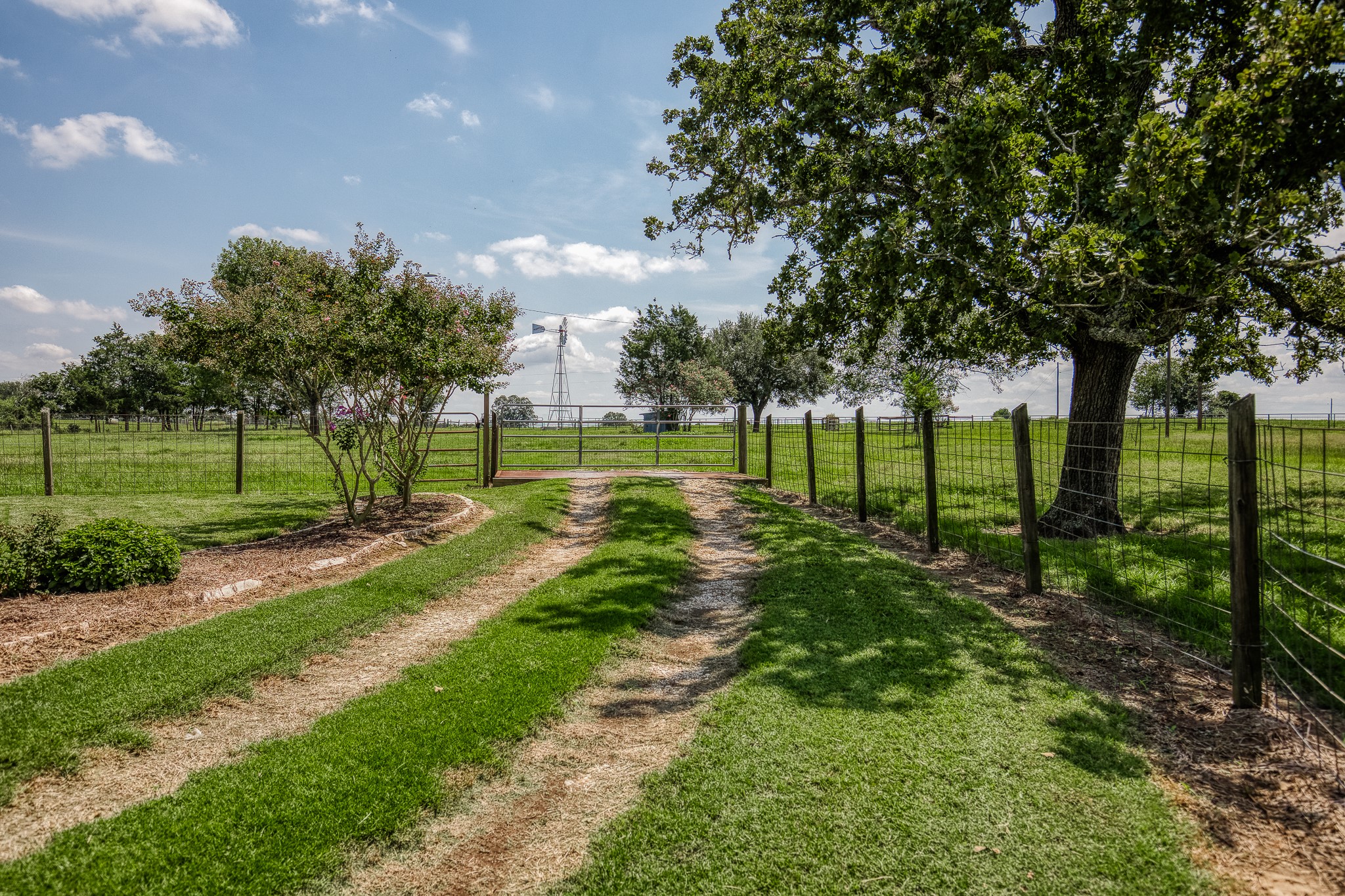 38134 Canty Road Hempstead, TX 77445 - Photo 3 of 48