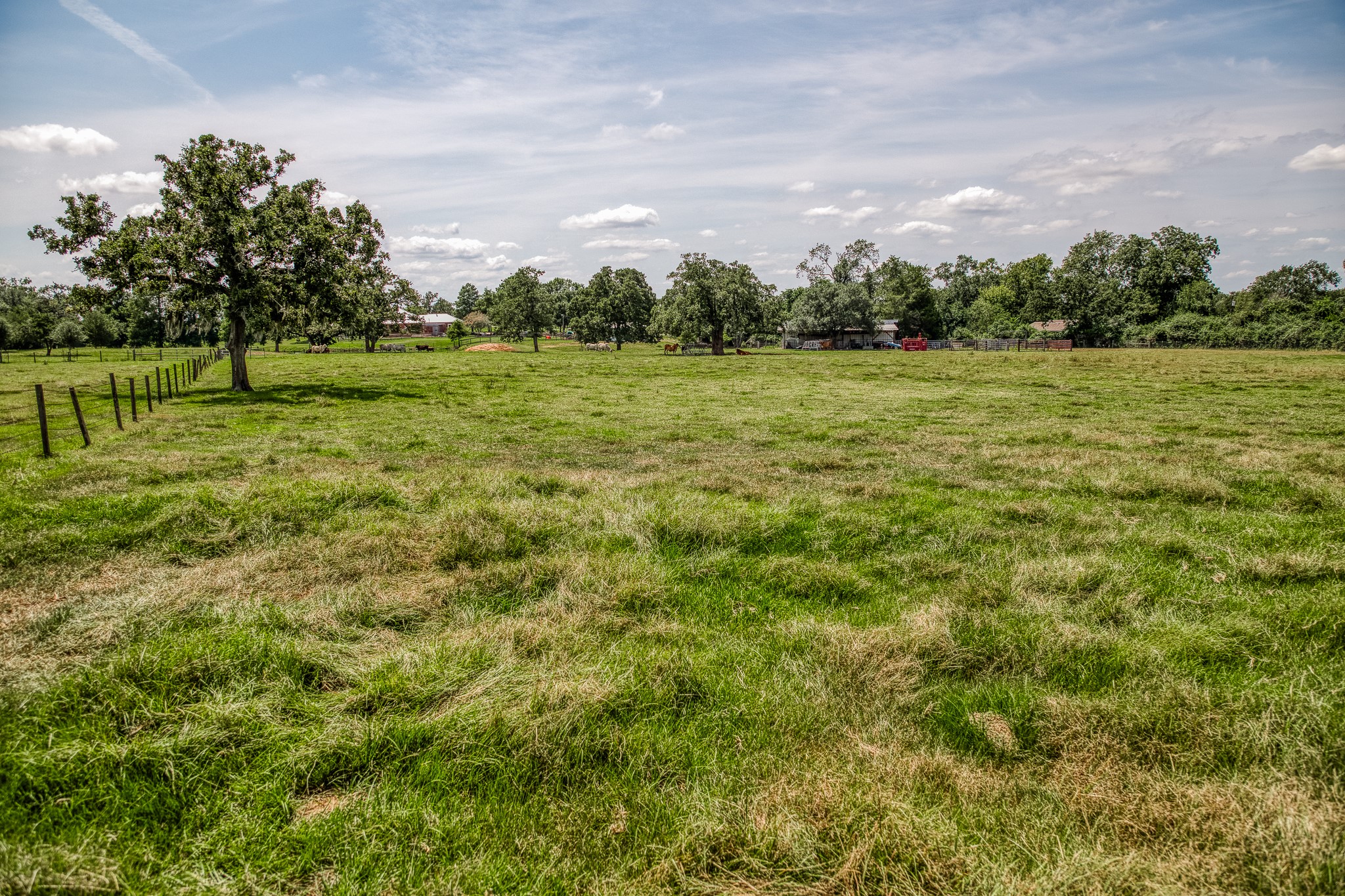 38134 Canty Road Hempstead, TX 77445 - Photo 4 of 48