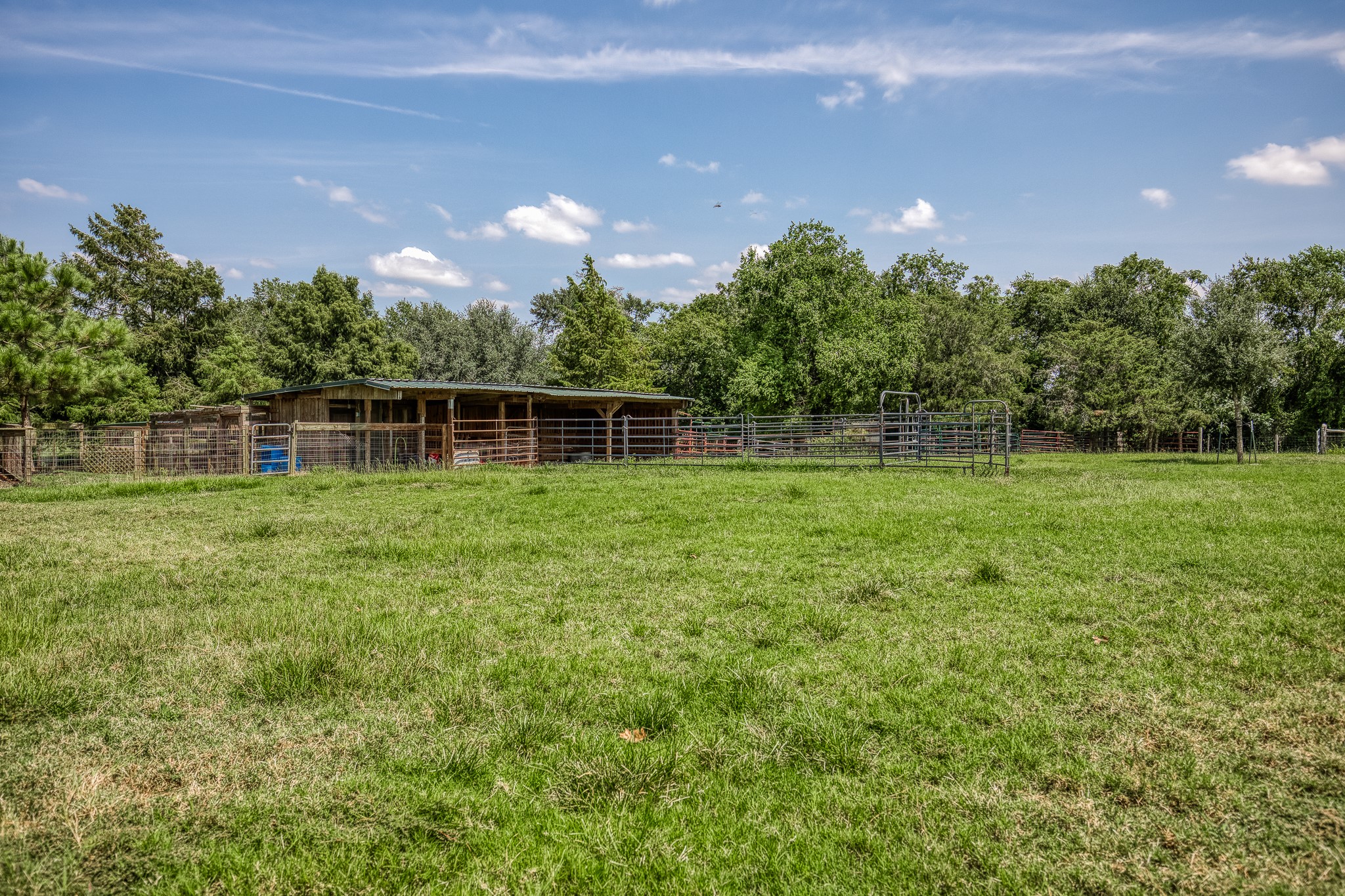 38134 Canty Road Hempstead, TX 77445 - Photo 41 of 48