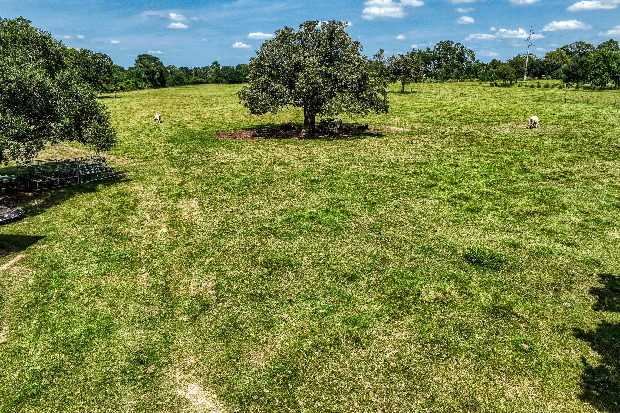 38134 Canty Road Hempstead, TX 77445 - Photo 42 of 48