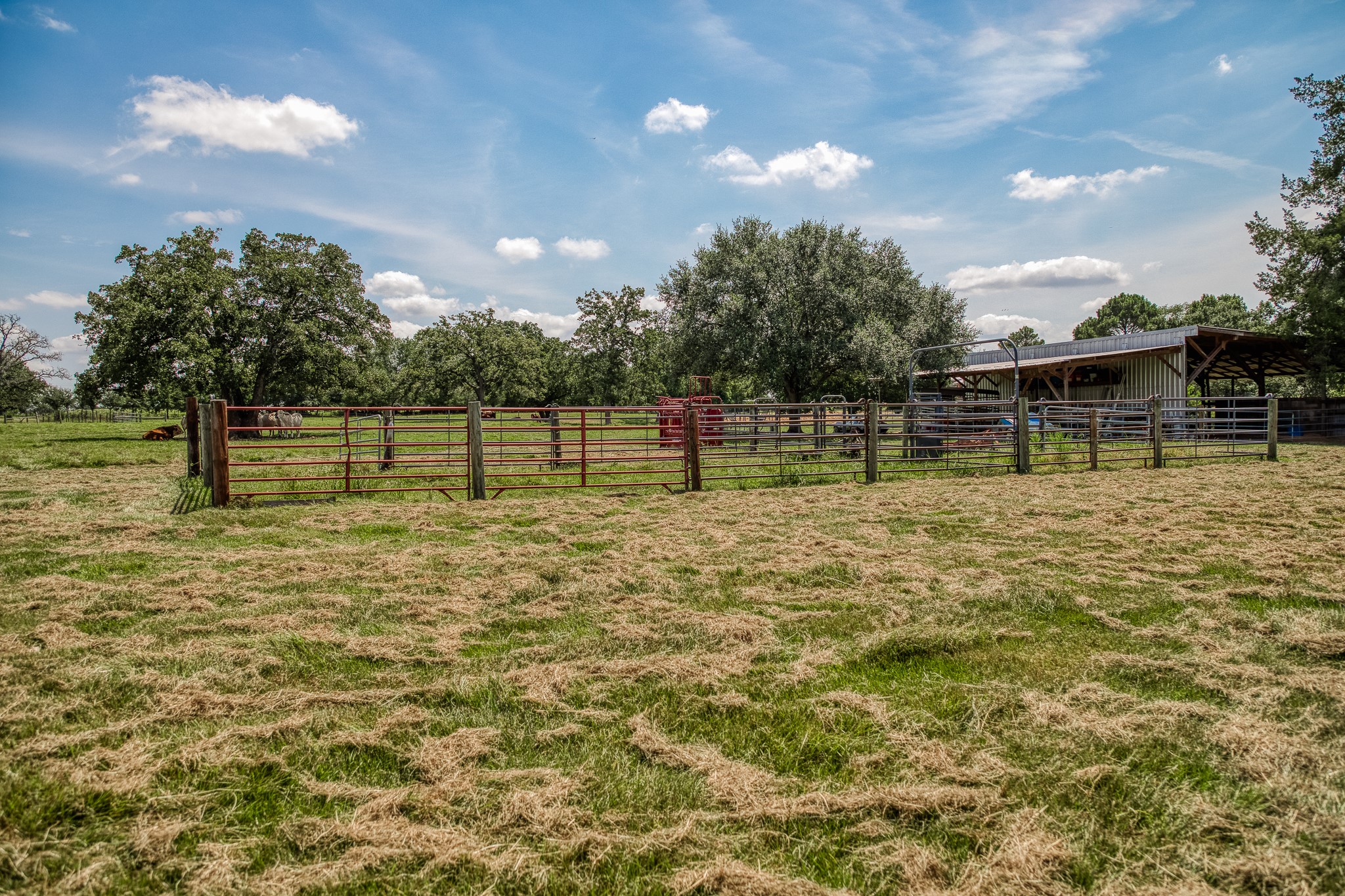 38134 Canty Road Hempstead, TX 77445 - Photo 45 of 48
