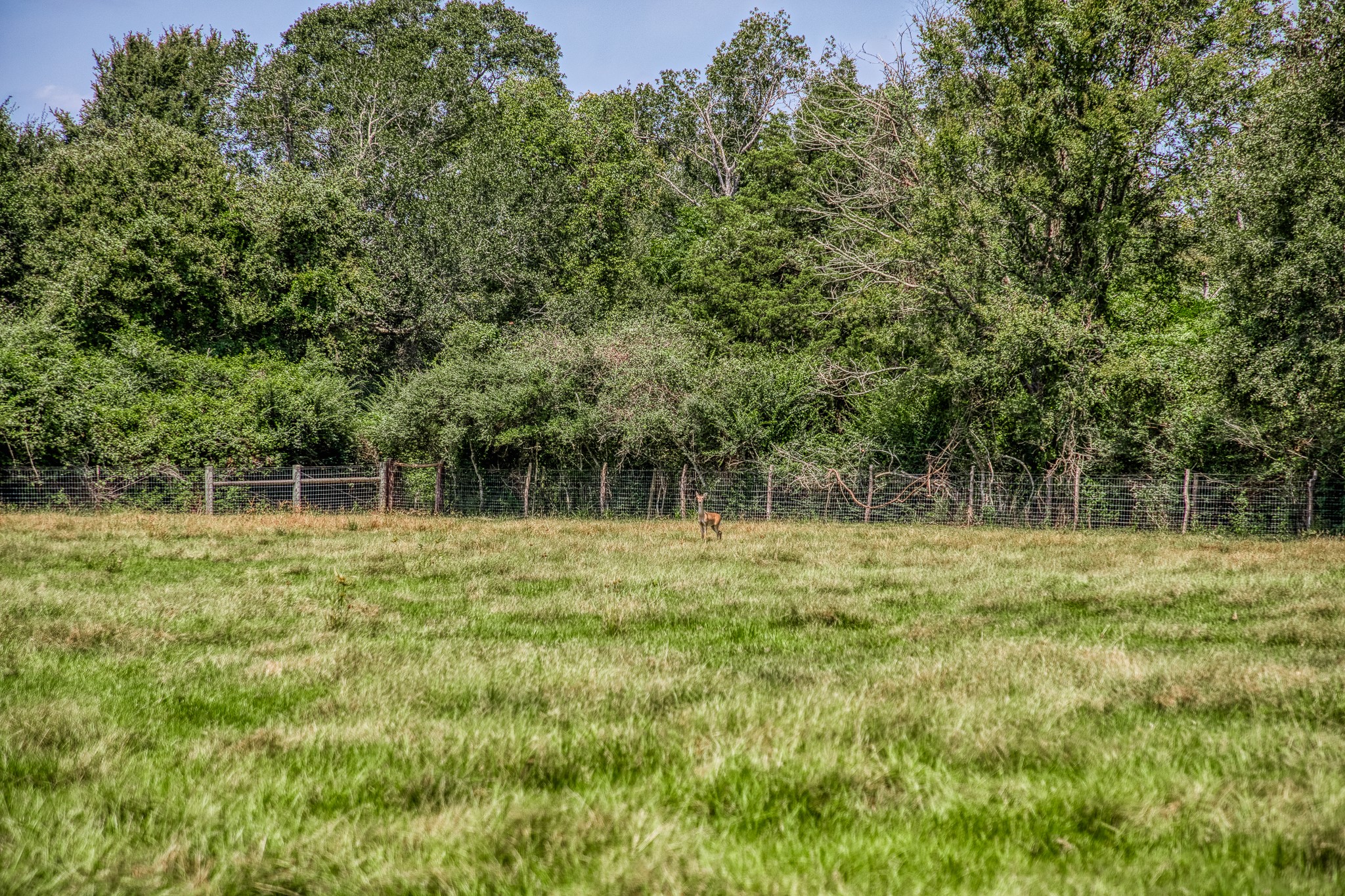 38134 Canty Road Hempstead, TX 77445 - Photo 46 of 48